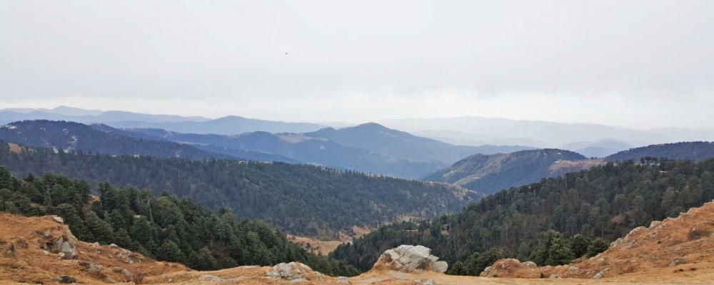 Dainkund Peak Dalhousie