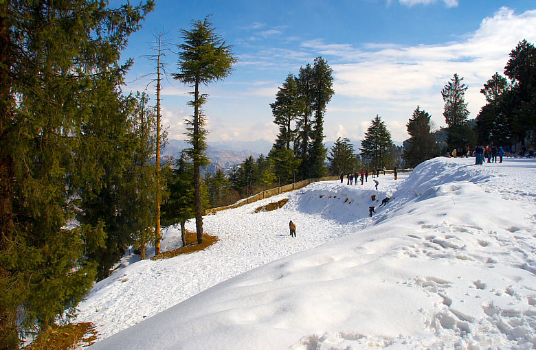 Kufri - snow & activity point 